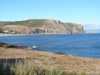 AppleMark