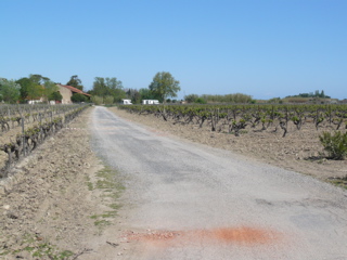 AppleMark